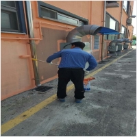 대덕구건물도장-5452863